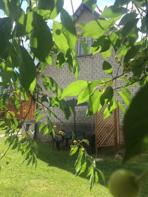 Apartament Pod Wisnia Supraśl 外观 照片